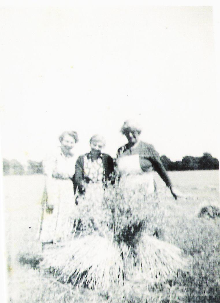 1940s - Winifred Pye (R) and friends in harvest field